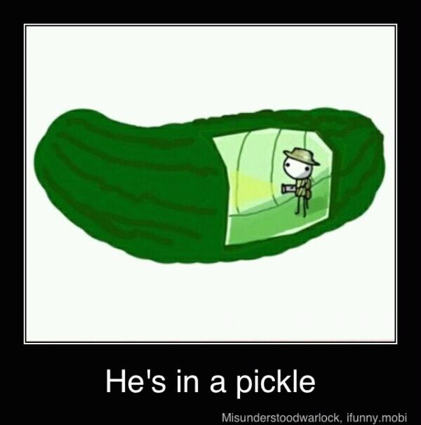 A pickle.